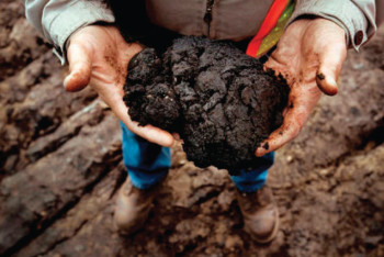 Сланцевую нефть начнут добывать в Казахстане