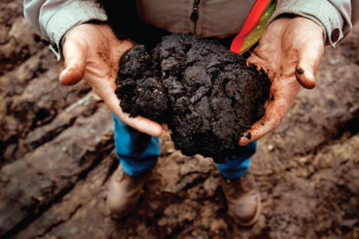 Сланцевую нефть начнут добывать в Казахстане