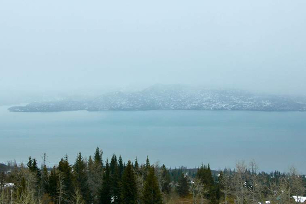 РИА Новости/Татьяна Лукьянова