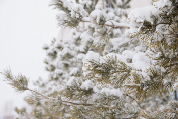 Фотография к новости: Жители Атырау получили предупреждение от Казгидромета