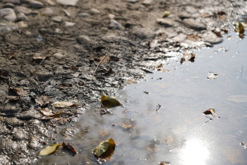 Фотография к новости: Загрязнение воды дорого обошлось предприятию на севере Казахстана