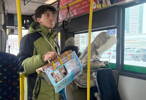 Фотография к новости: Пожертвования в автобусах - реальная помощь или схема по набиванию чужих карманов?