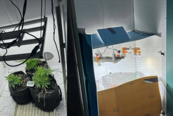 Фотография к новости: Три нарколаборатории за сутки ликвидировали в Казахстане