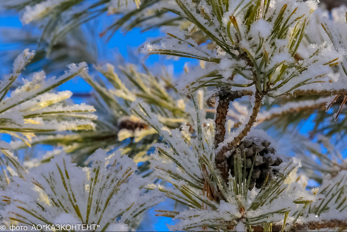 Какая погода ждет казахстанцев в ближайшие три дня