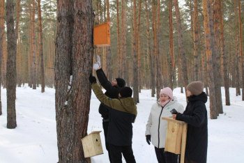 В Бородулихинском районе состоялась экологическая акция "Бережем наш лес"
