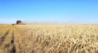 Центр здоровых семян создадут в Казахстане