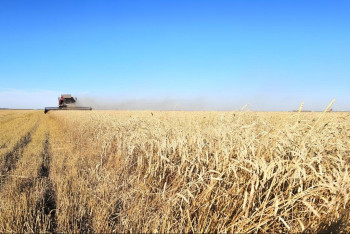 Фотография к новости: Центр здоровых семян создадут в Казахстане