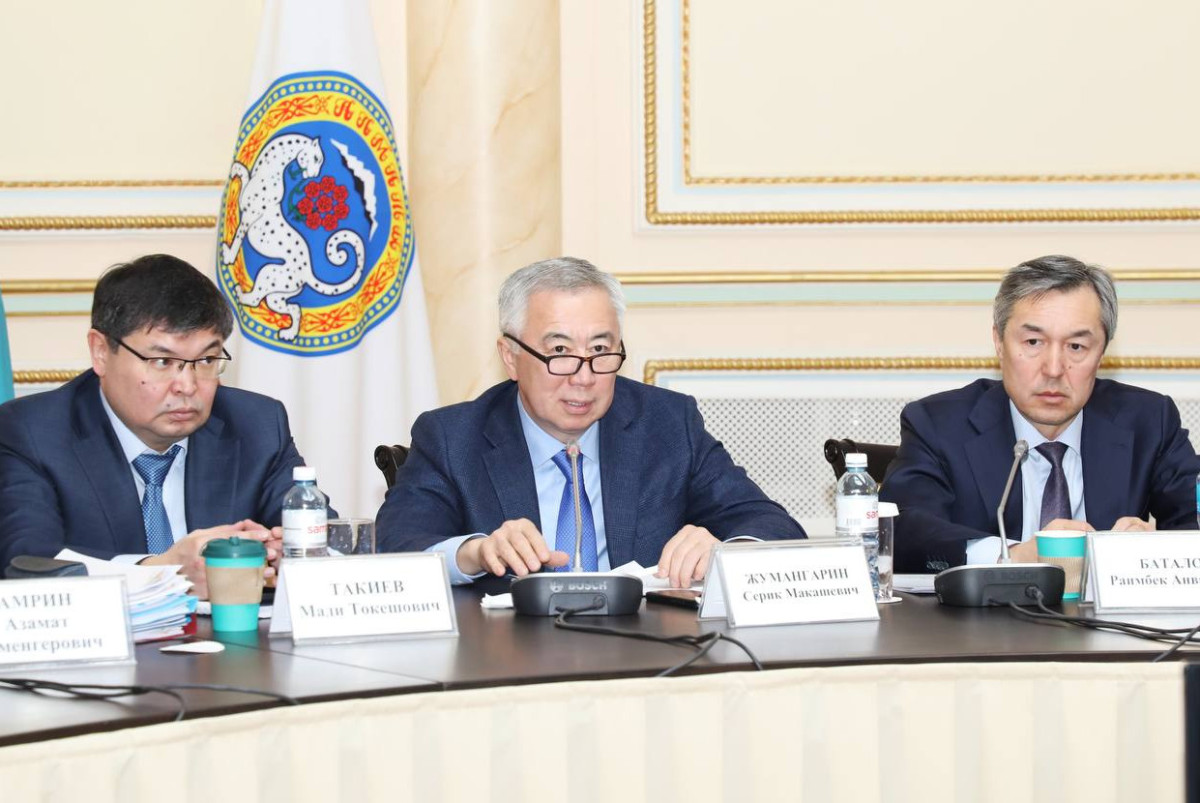 Ежегодно государство теряет 800 млрд тенге подоходного налога от дроблений бизнеса