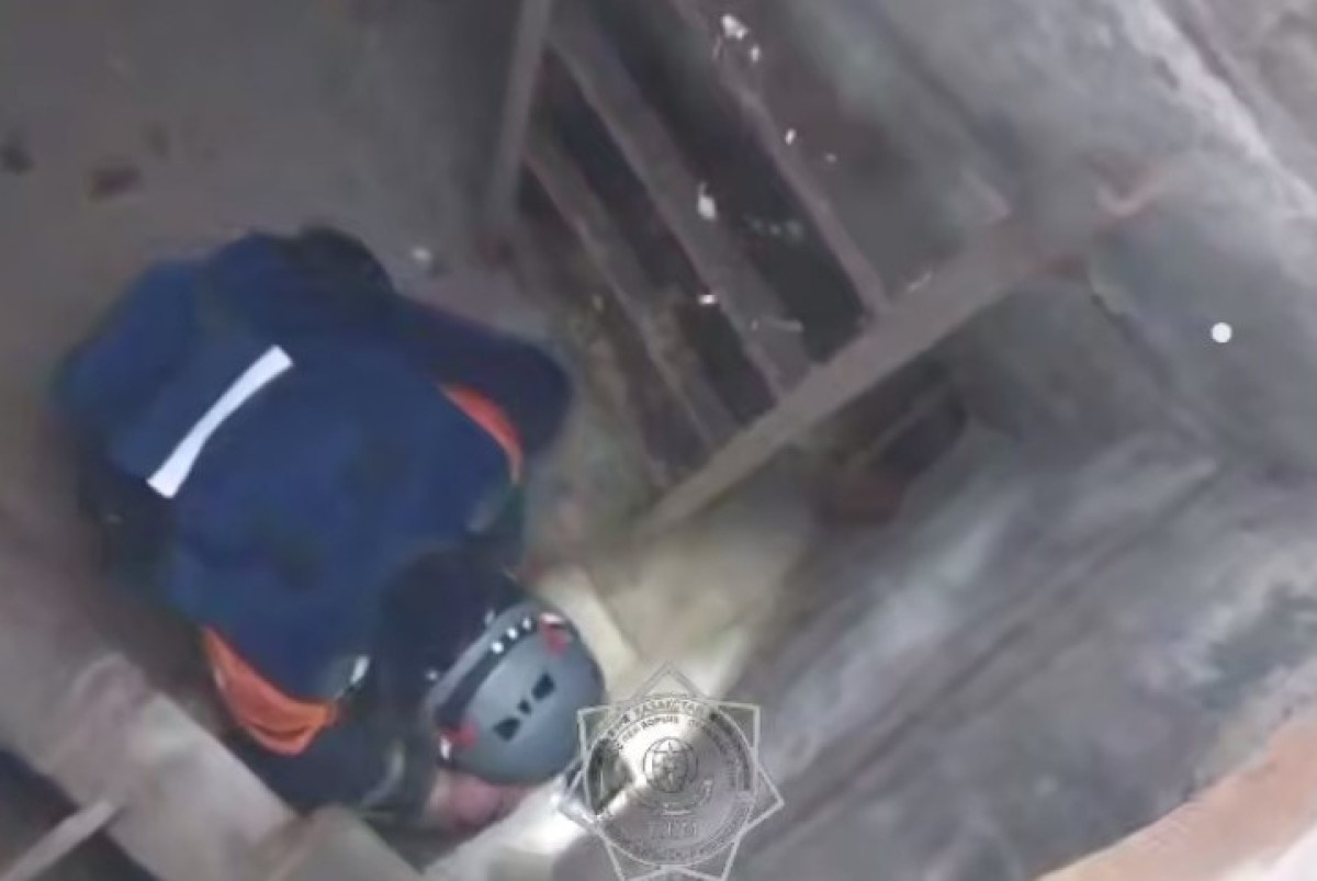 скриншот свидео