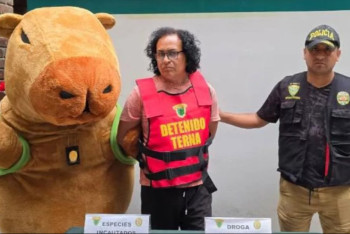 Фотография к новости: Полицейский в костюме капибары задержал наркоторговца в Перу