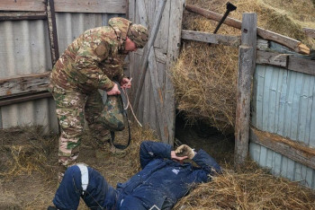 Фотография к новости: Мужчину придавило 300-килограммовым рулоном сена в ЗКО
