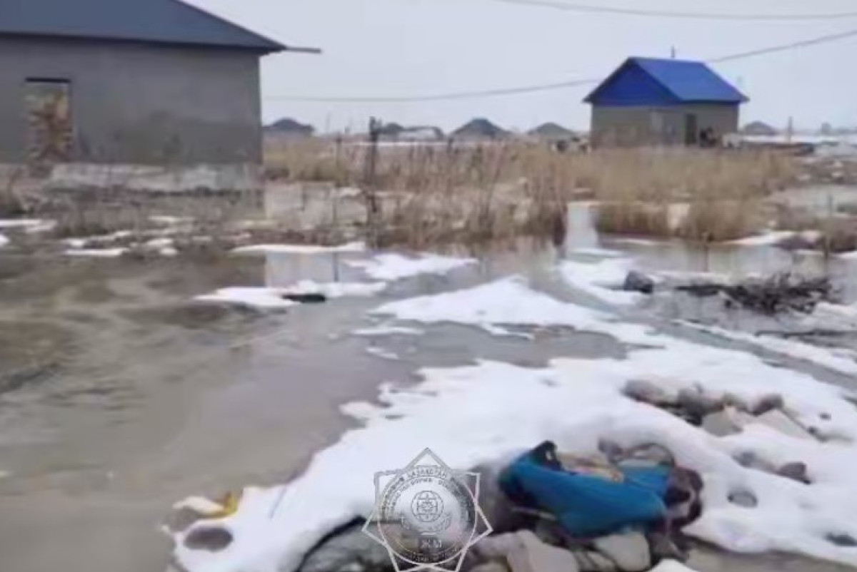 Неизвестные устроили потоп в селе Алматинской области