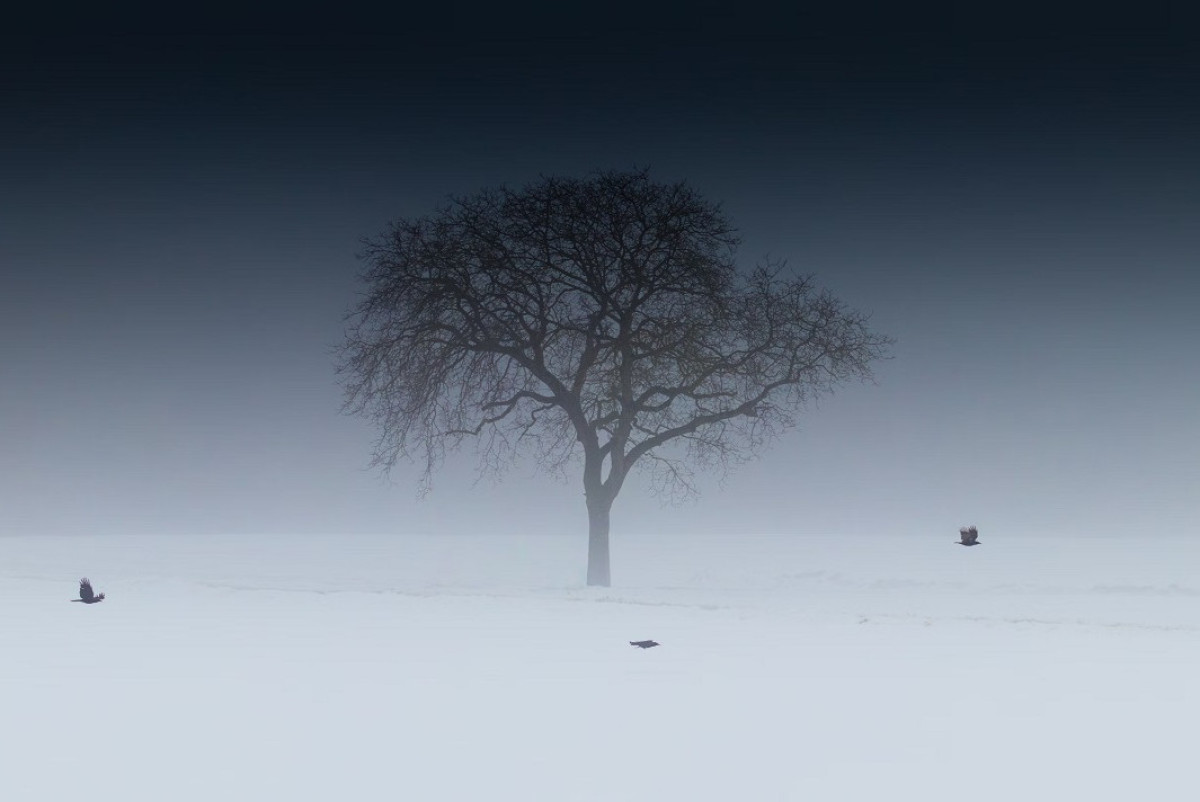 Unsplash