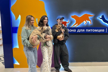 Зону для животных открыли в аэропорту Алматы