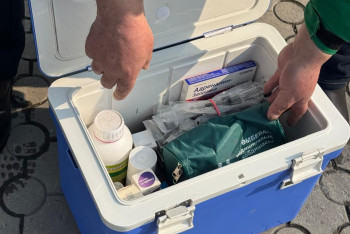 Фотография к новости: Скорая помощь для бездомных животных появилась в Алматы