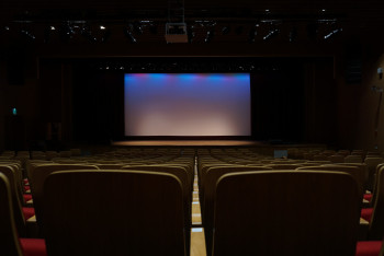 Фотография к новости: Фильм "Рэкетир: новые времена" сняли с проката в Кыргызстане