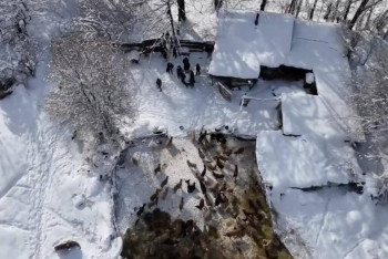 Фотография к новости: Экстремистские материалы и наркотики распространяли трое мужчин в Жетысу