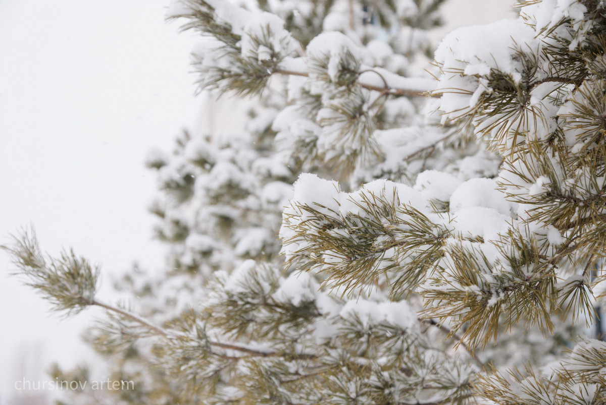 Артём Чурсинов/BaigeNews.kz