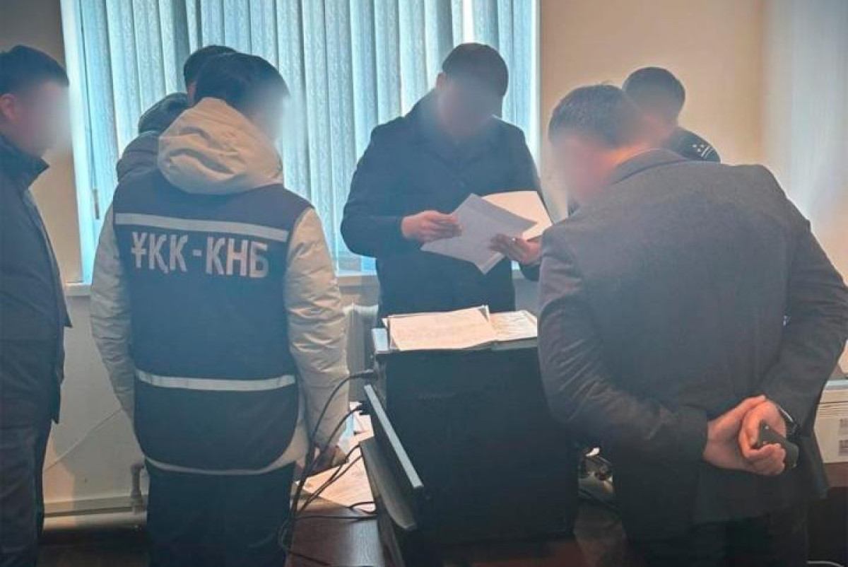 Крупный канал незаконной миграции пресекли в Кызылординской области