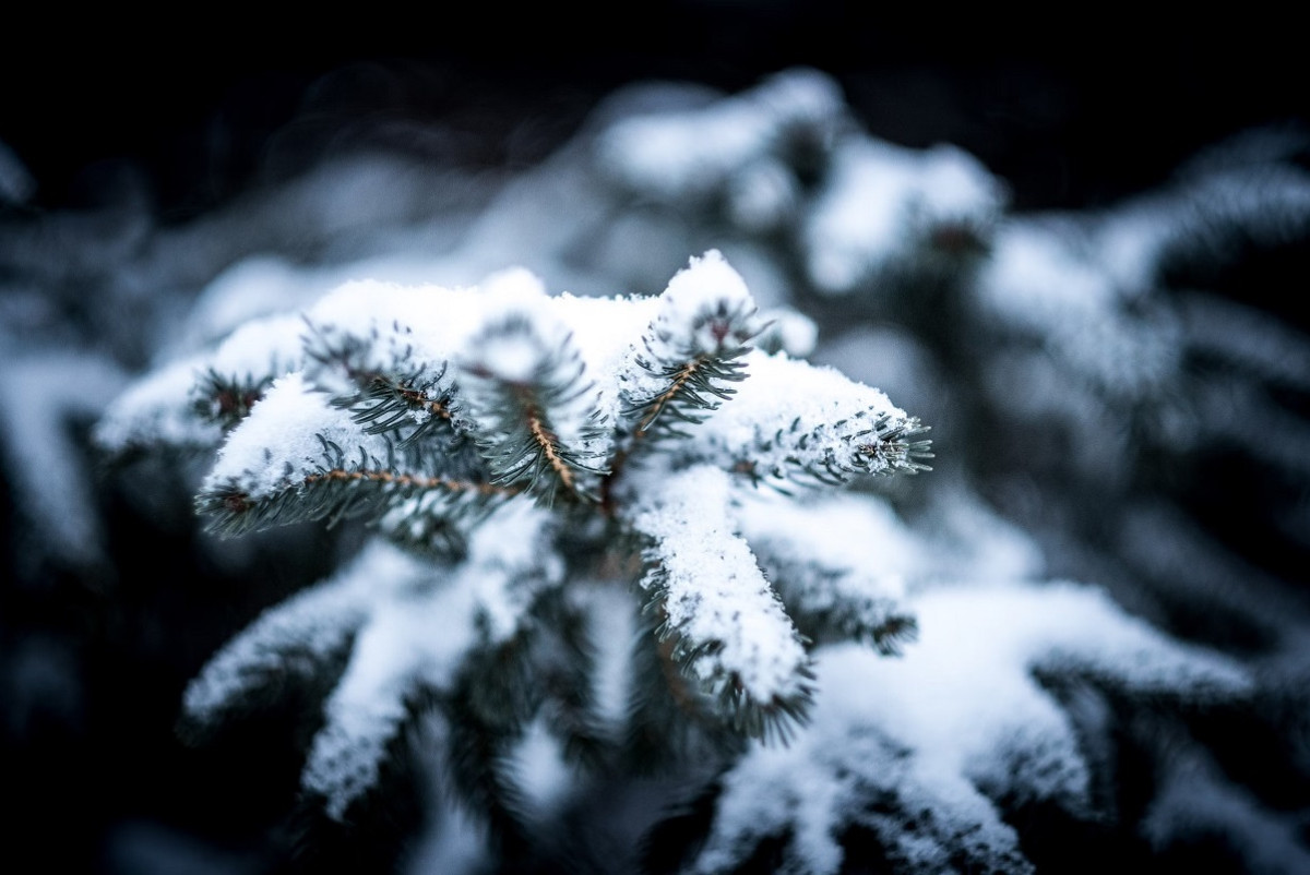 Unsplash