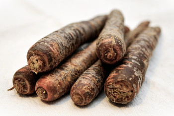 Казахстанская морковь тоннами гниет на складах