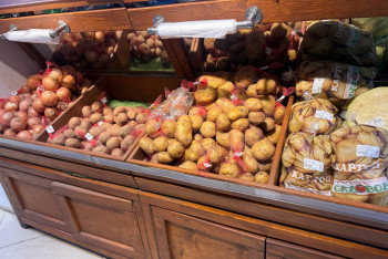 Фотография к новости: Ажиотажного спроса на картофель нет – министр Шаккалиев