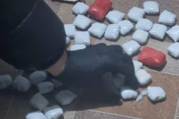 Фотография к новости: 17 нарколабораторий ликвидировали в Казахстане