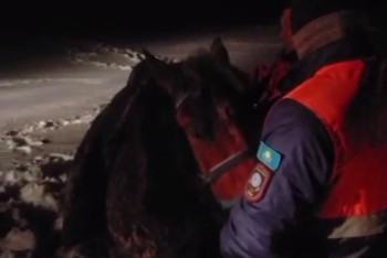 Фотография к новости: Житель Актюбинской области застрял в снегу верхом на лошади