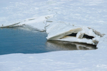 Фотография к новости: Есть ли реальная угроза? Как Павлодарская область готовится к паводкам