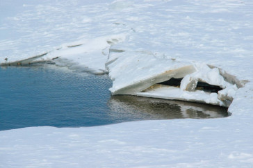 Фотография к новости: Есть ли реальная угроза? Как Павлодарская область готовится к паводкам