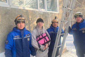 Фотография к новости: Решил спасти кота: павлодарца пришлось снимать с дерева пожарным