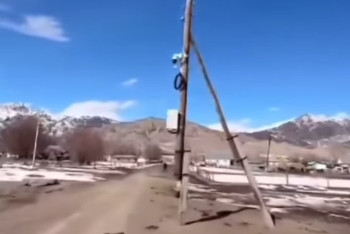 Штраф за скачку: Камера "поймала" лошадь на бездорожье