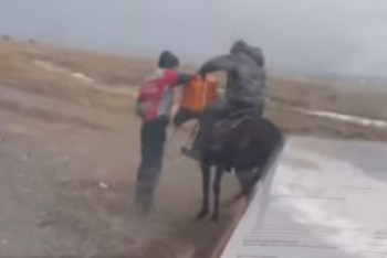 Фотография к новости: Фельдшер пересел на лошадь, чтобы добраться до пациента в Жетысу