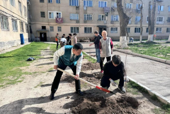 Приз за чистоту: в Жамбылской области выберут лучшие дворы и аулы