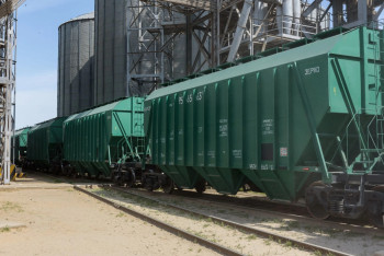 Фотография к новости: Пшеницу запретили перевозить из Казахстана в Россию железнодорожным транспортом