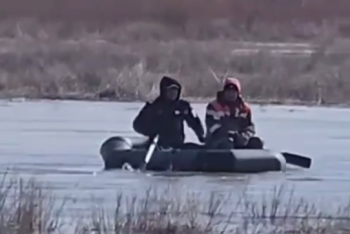 Фотография к новости: Четыре часа борьбы: в Актюбинской области спасли 24 лошади