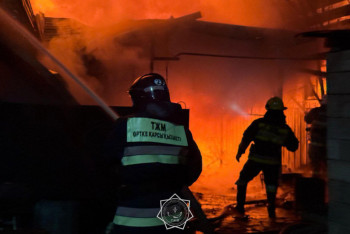 Фотография к новости: Пожарные области Жетысу спасли человека из горящего дома