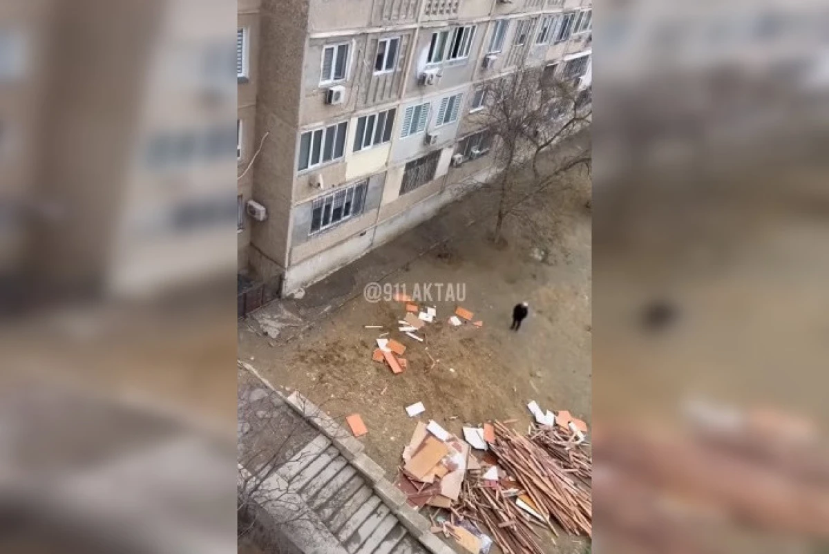 скриншот видео