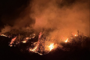 Фотография к новости: Мощные лесные пожары бушуют в Южной Корее: есть жертвы и пострадавшие