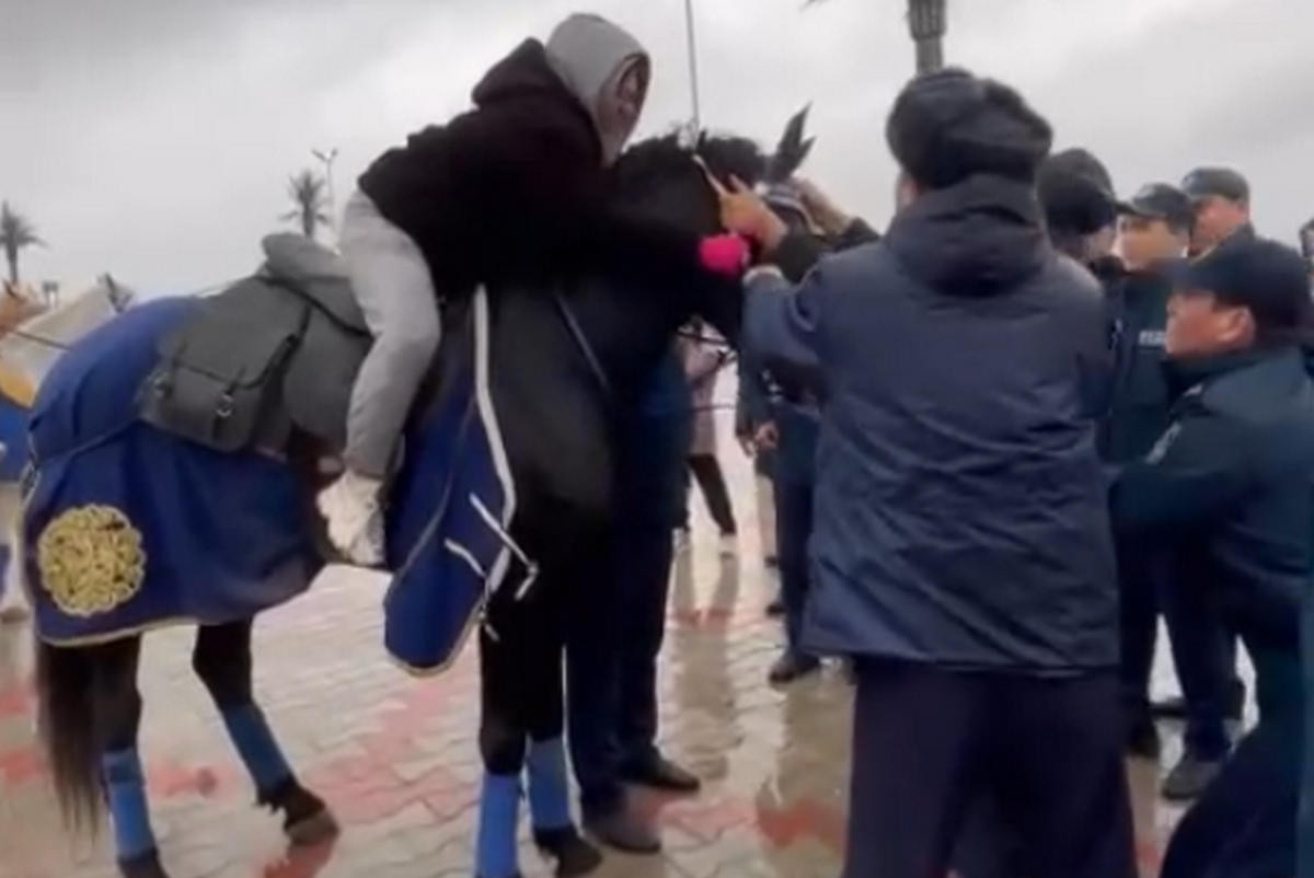 скриншот видео