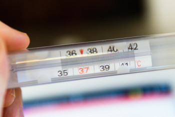 Температура под 40 и сыпь: россияне в Таиланде массово болеют скарлатиной