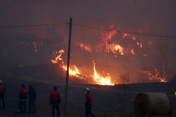 Фотография к новости: 24 человека стали жертвами лесных пожаров в Южной Корее