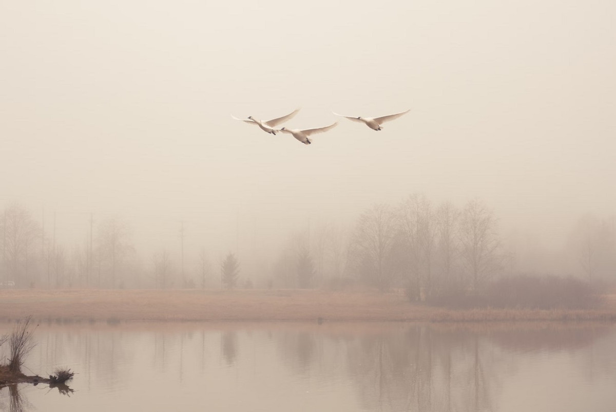 Unsplash