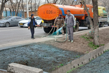 Зачем акимат Алматы красит траву?