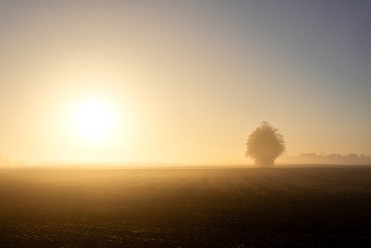 Unsplash