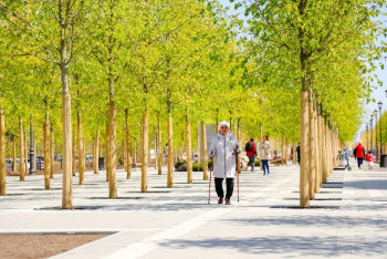 Фотография к новости: Масштабное озеленение и увеличение общественных пространств планируется в Астане