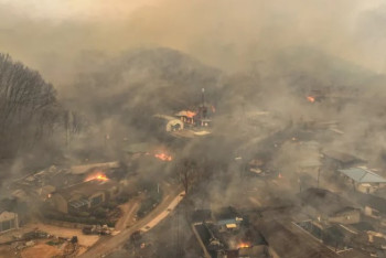 Фотография к новости: Виновника смертельного лесного пожара задержали в  Южной Корее