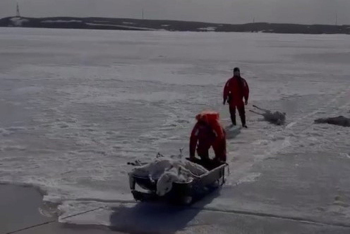 скриншот с видео МЧС