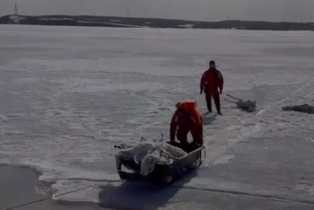 Фотография к новости: Мёртвых сайгаков продолжают утилизировать спасатели в Улытау