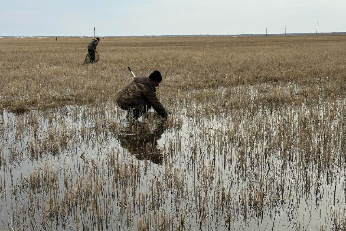 Комитет рыбного хозяйства